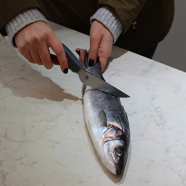 Universal Kitchen 7 in 1 con pesce