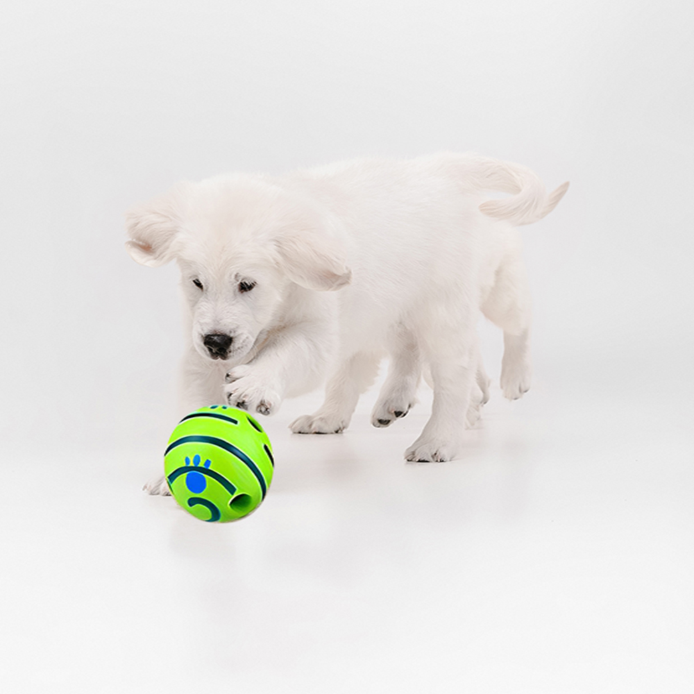 Palla per cani golden