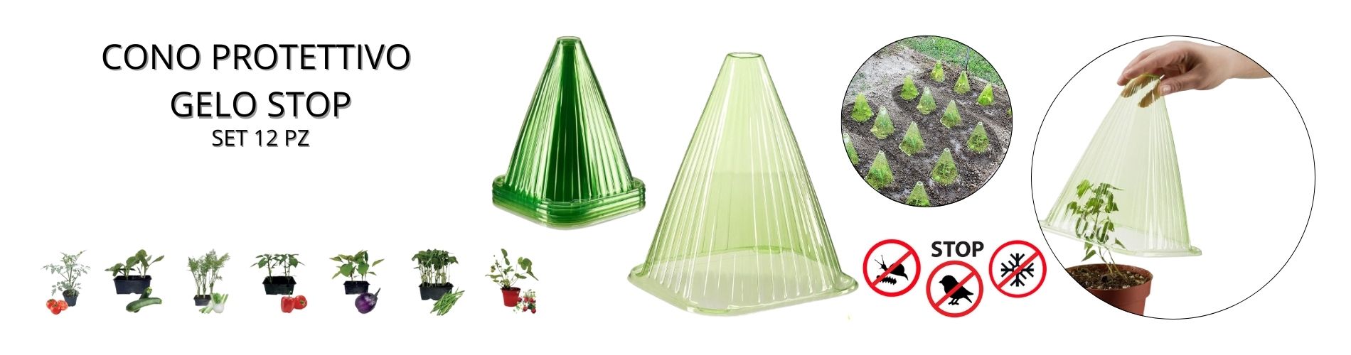 cono proteggi piante