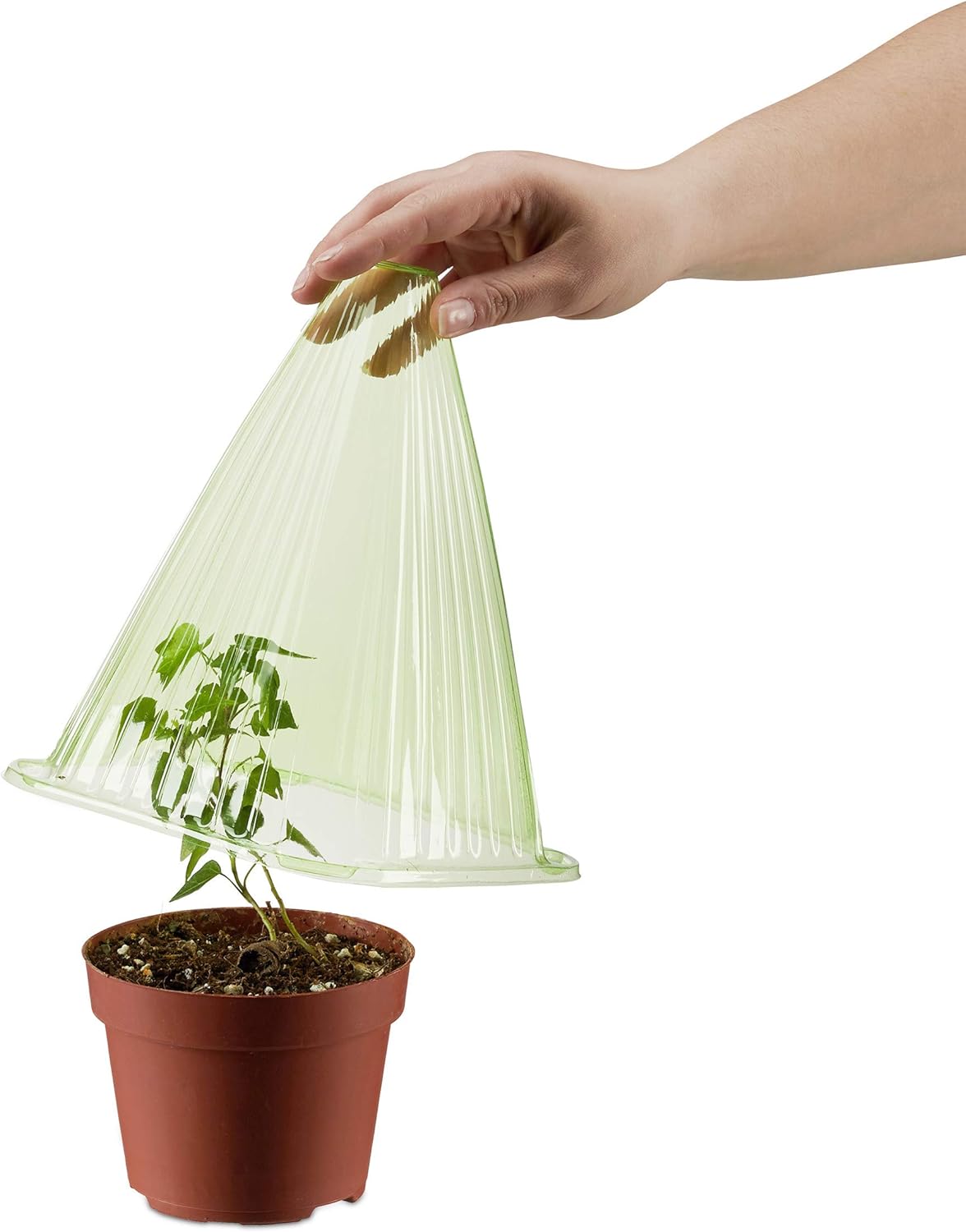 cono proteggi piante.2