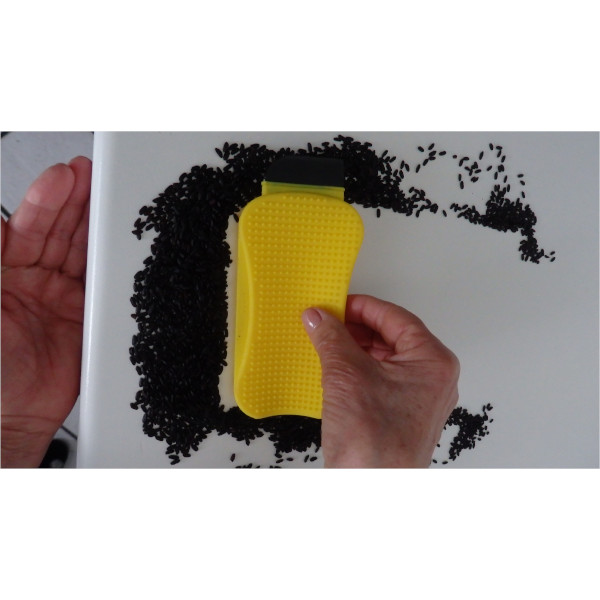 Set 2 spugne in silicone con riso