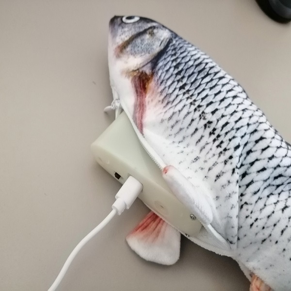 crazy fish in ricarica