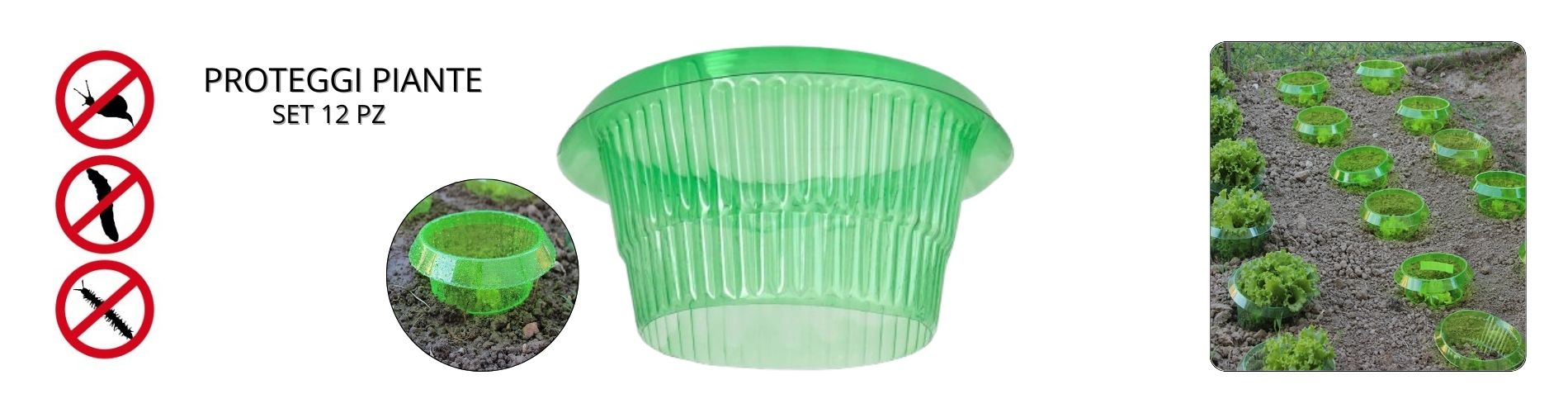 proteggi piante