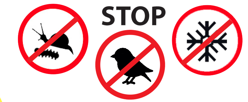 cono proteggi piante.5